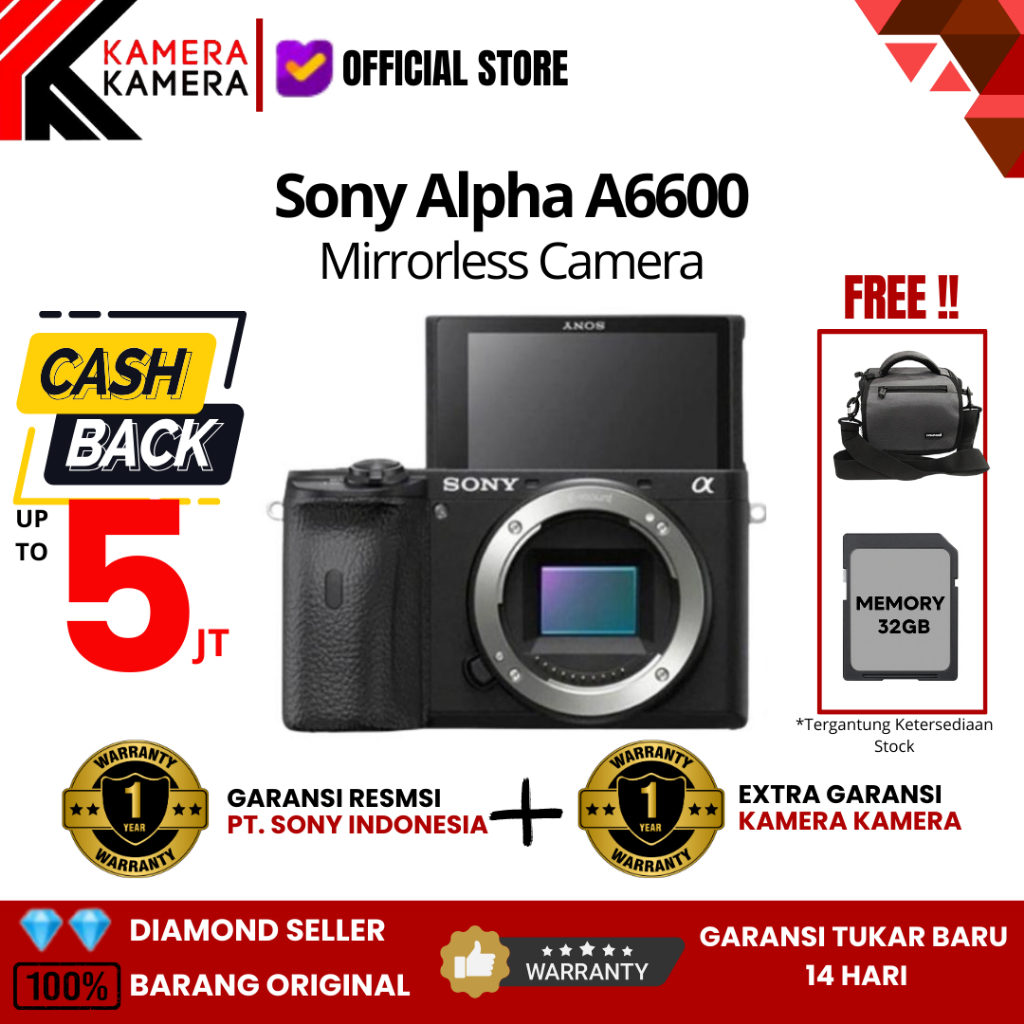 Sony Alpha 6600 Mirrorless Camera - APS-C CMOS 24.2MP