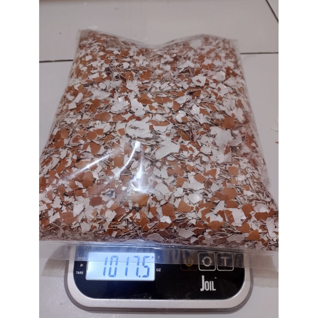 CANGKANG TELUR 1 kg