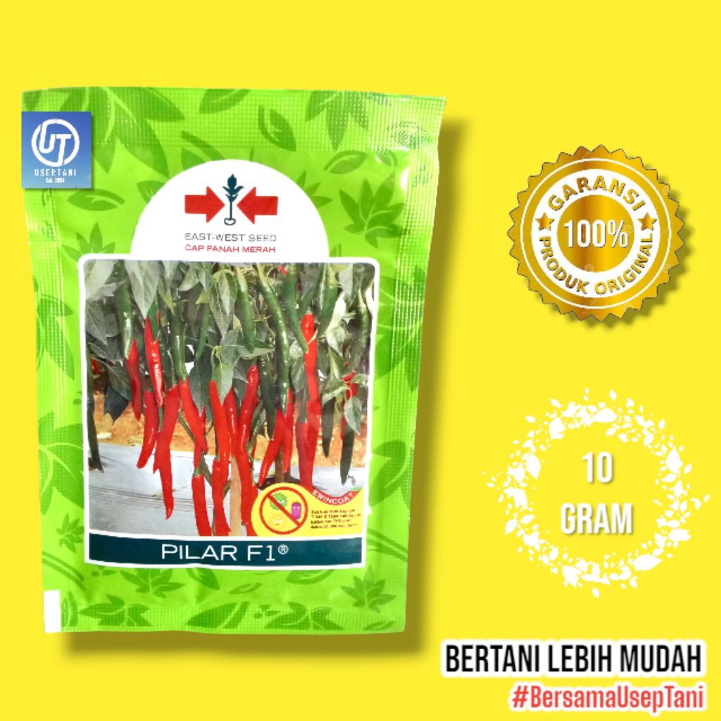 BENIH CABE MERAH BESAR PILAR F1 10GRAM CAP PANAH MERAH