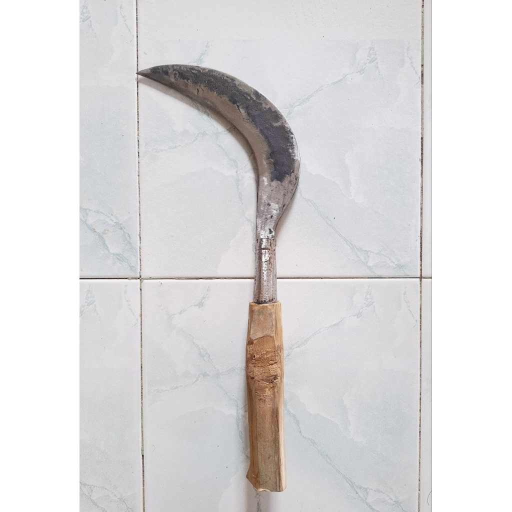 Arit Madura gagang kayu COD