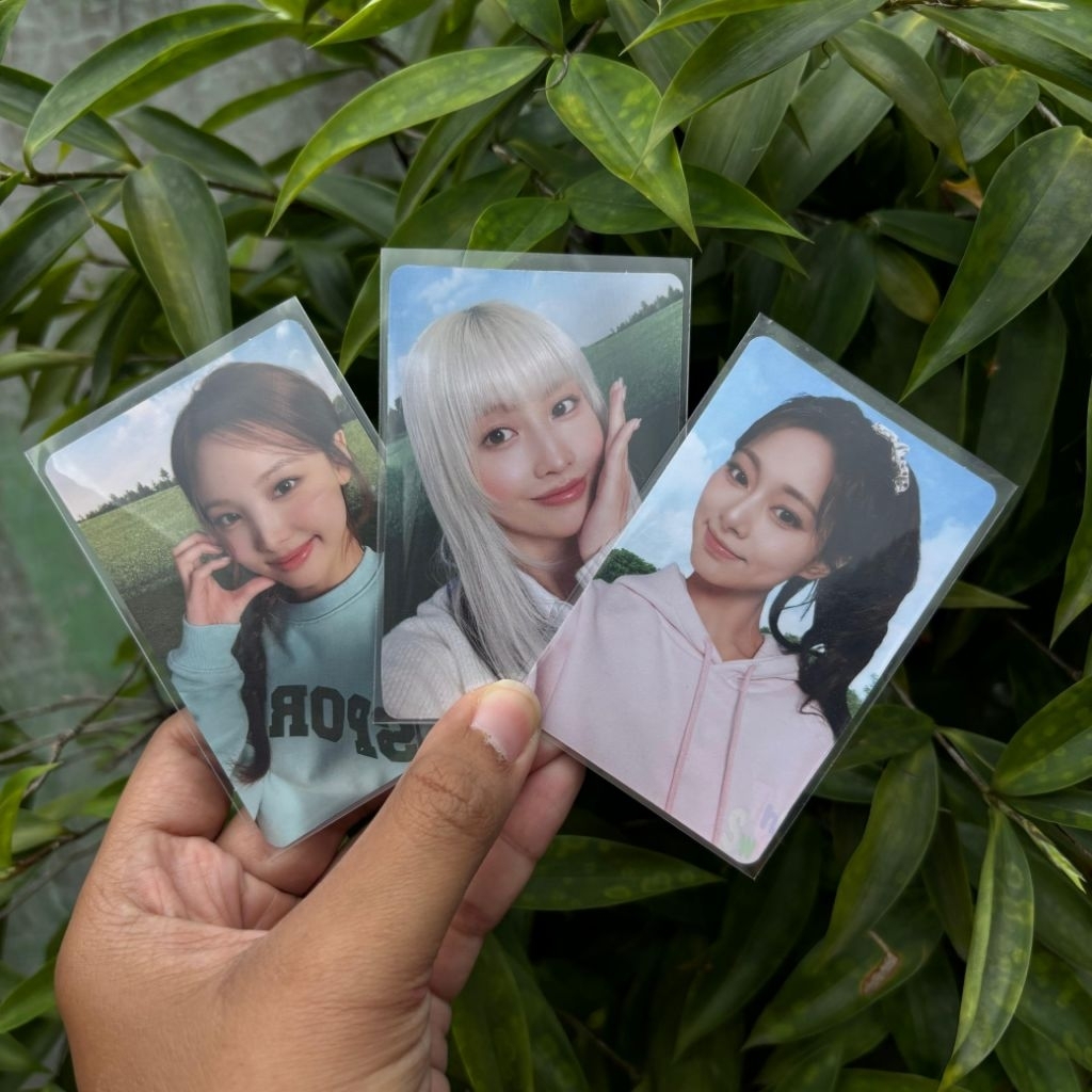 PHOTOCARD OFFICIAL RICHEESE FACTORY X TWICE JIHYO TZUYU NAYEON MOMO