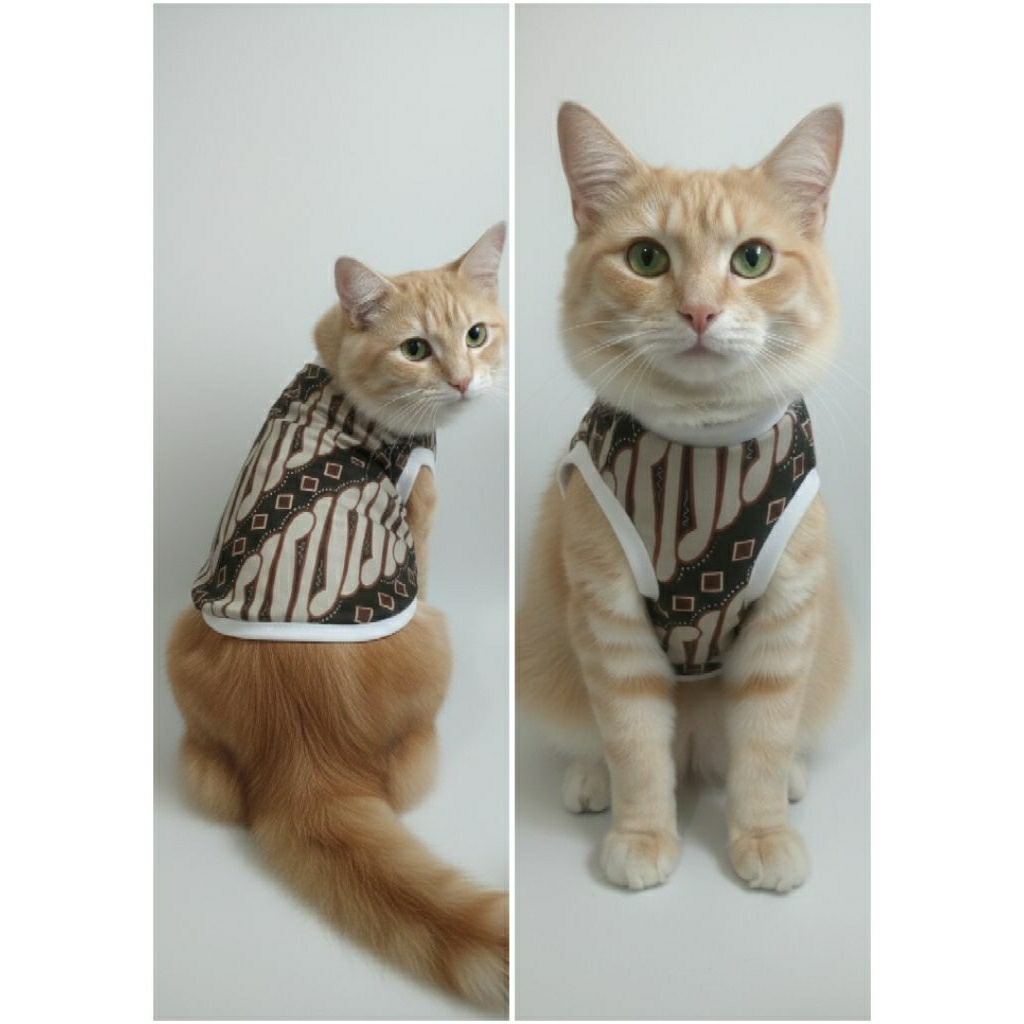 Baju Kucing Anjing kecil Batik