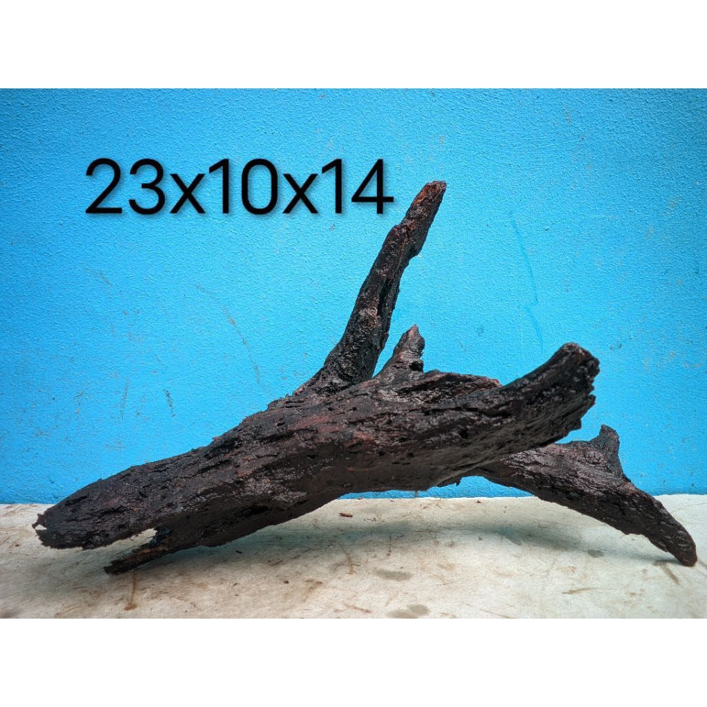 kayu aquascape tenggelam size S