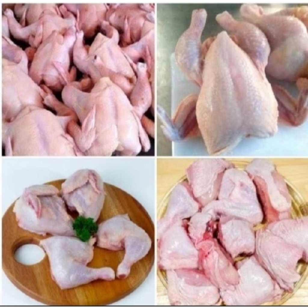 Ayam potong boiler Bandung