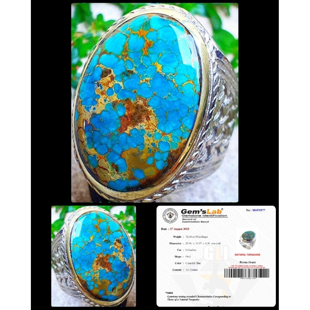 pirus blue persian lawasan asli urate emas bos