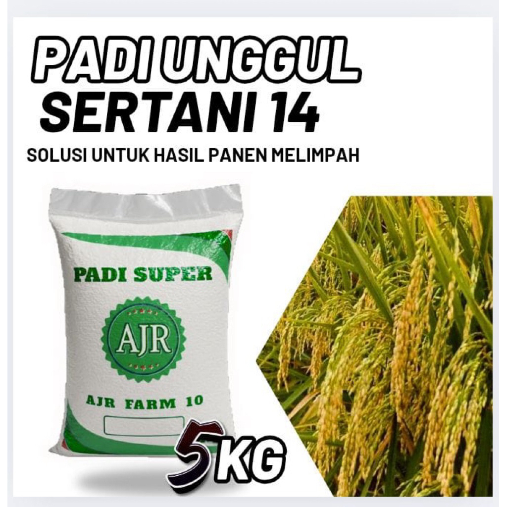 Benih padi unggul SERTANI 14 (5kg)