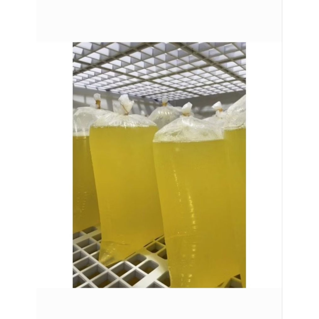 PUTIH TELUR 1KG FRESH