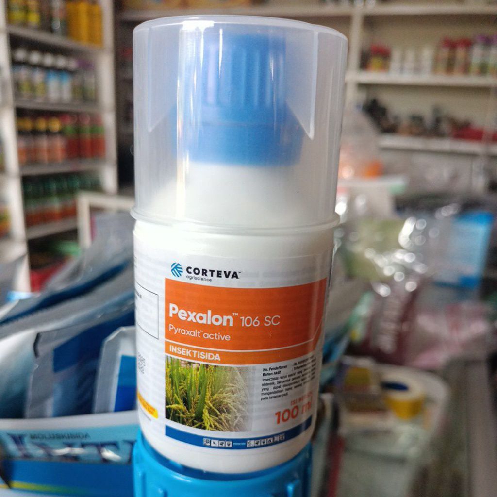 Insektisida PEXALON 106 SC Untuk Mengendalikan Hama Wereng Coklat Pada Tanaman Padi