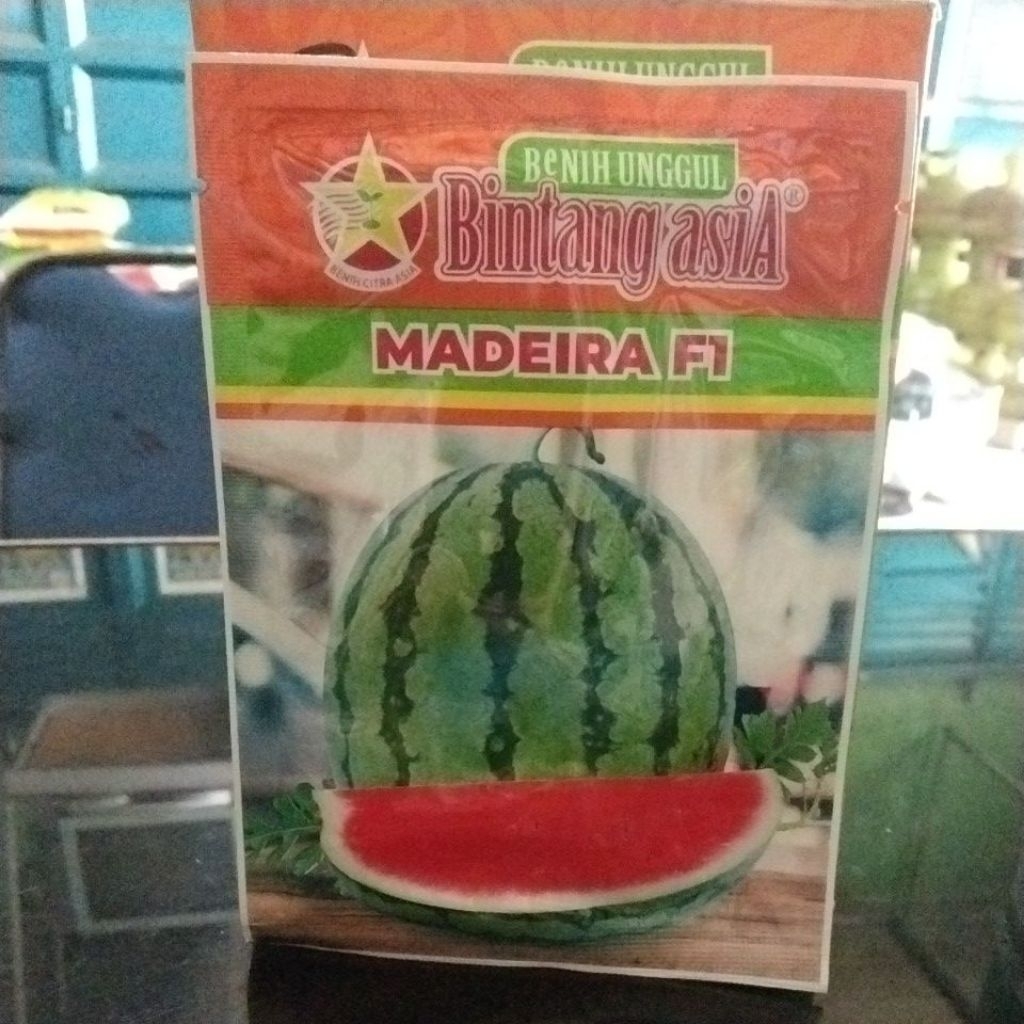 bibit semangka Madeira f1 20 gr