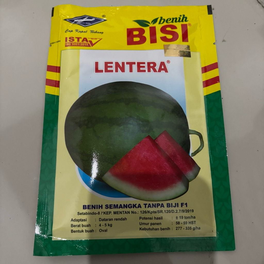 BENIH SEMANGKA HYBRIDA F1 LENTERA Bibit Semangka Non Biji Kemasan 20gr Cap Kapal Terbang