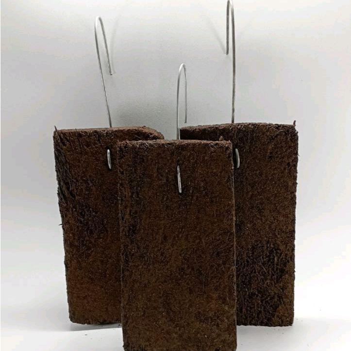 Media Akar Pakis Papan Lempeng 15×20 Anggrek Sedang Besar Sudah Ada Cantelan nya