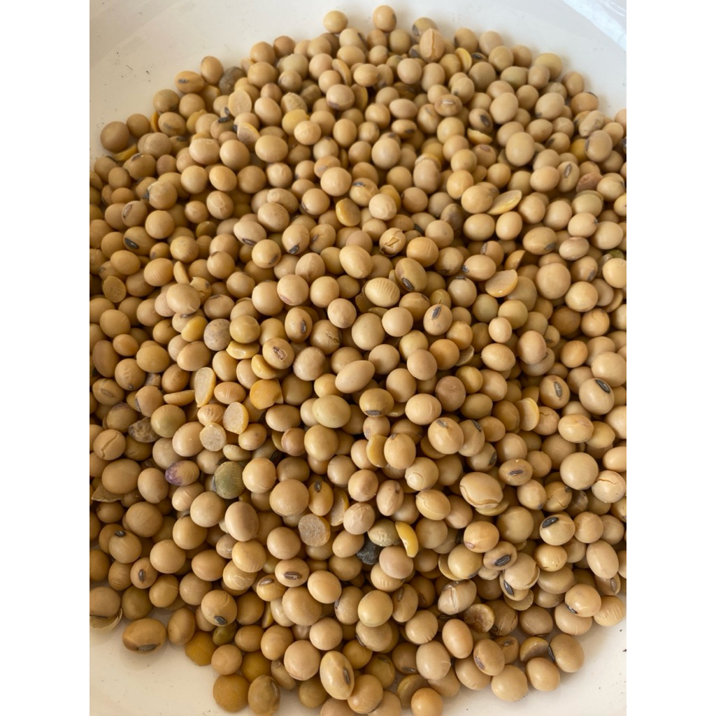 Kacang Kedelai 1KG