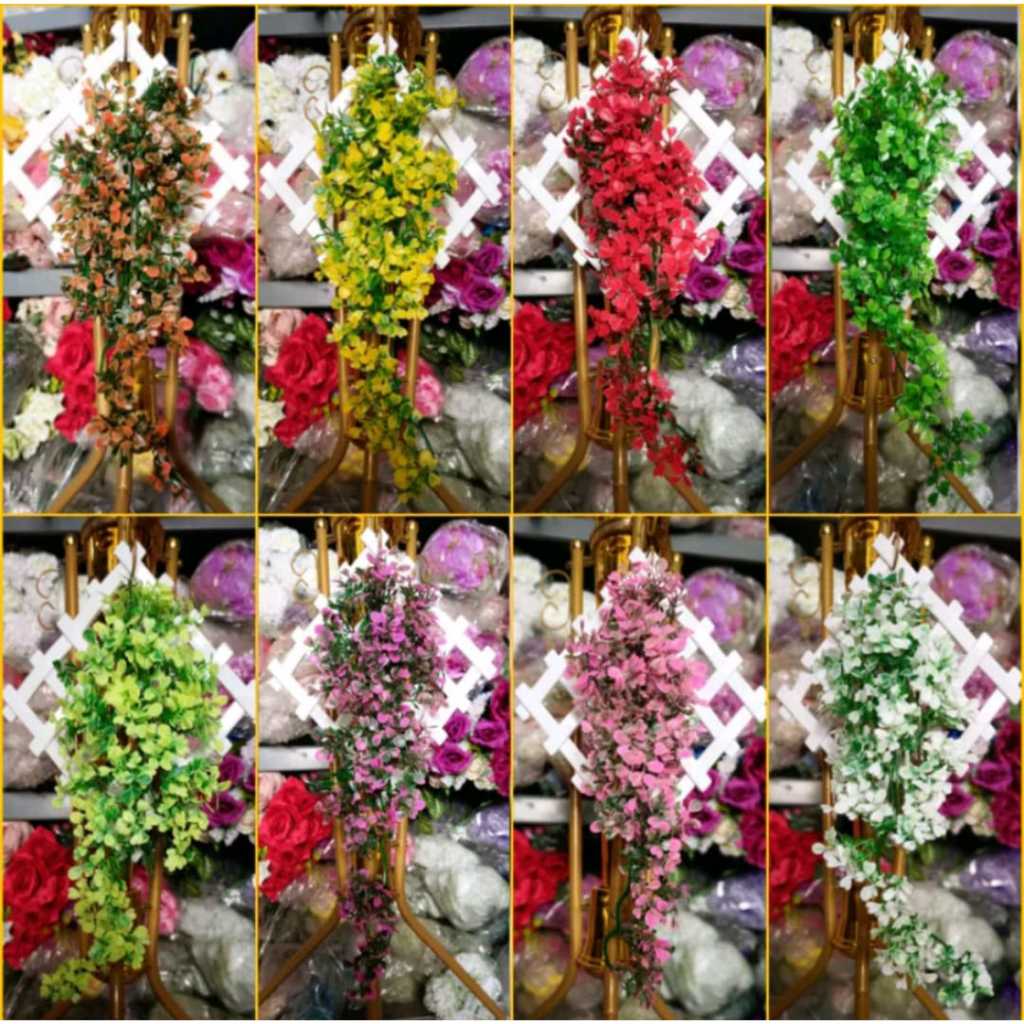 rambat oxselia bunga hias rambat dinding/tanaman hias/bunga hias dinding Plastik
