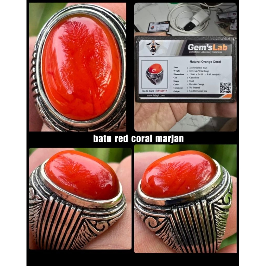 batu Marjan merah super jumbo asli kelas kontes bos