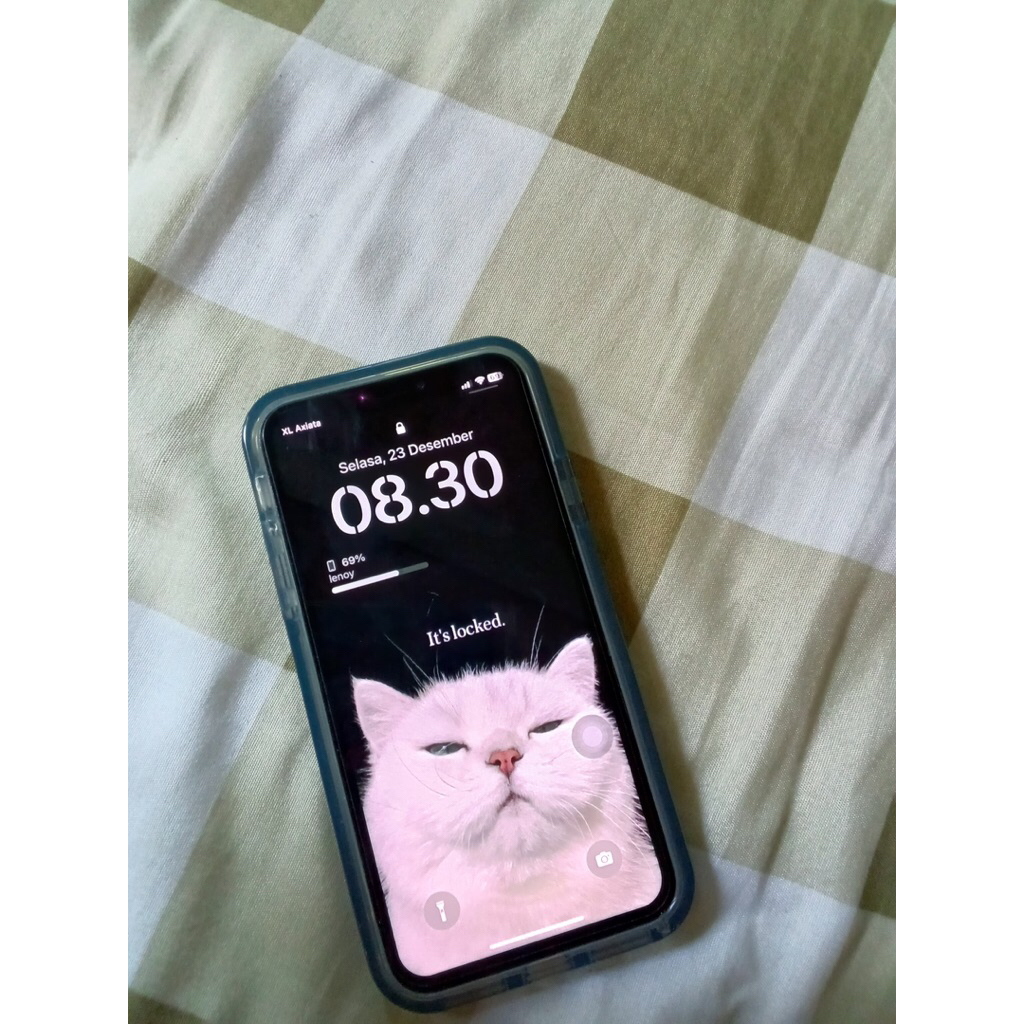 second || Iphone x 256gb All operator