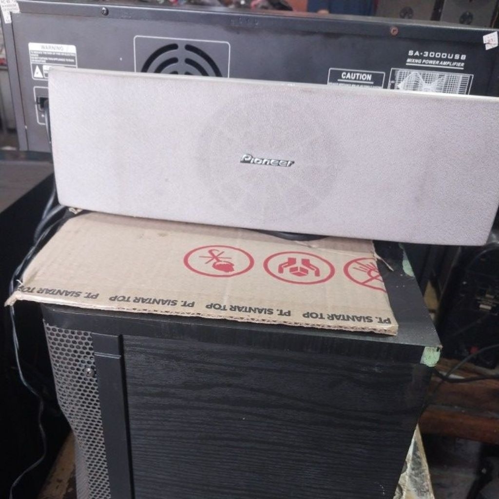 speaker pioneer