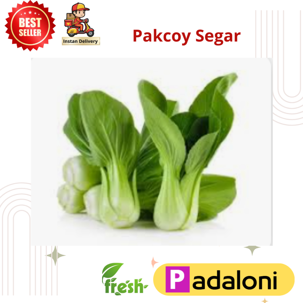 Pakcoy segar