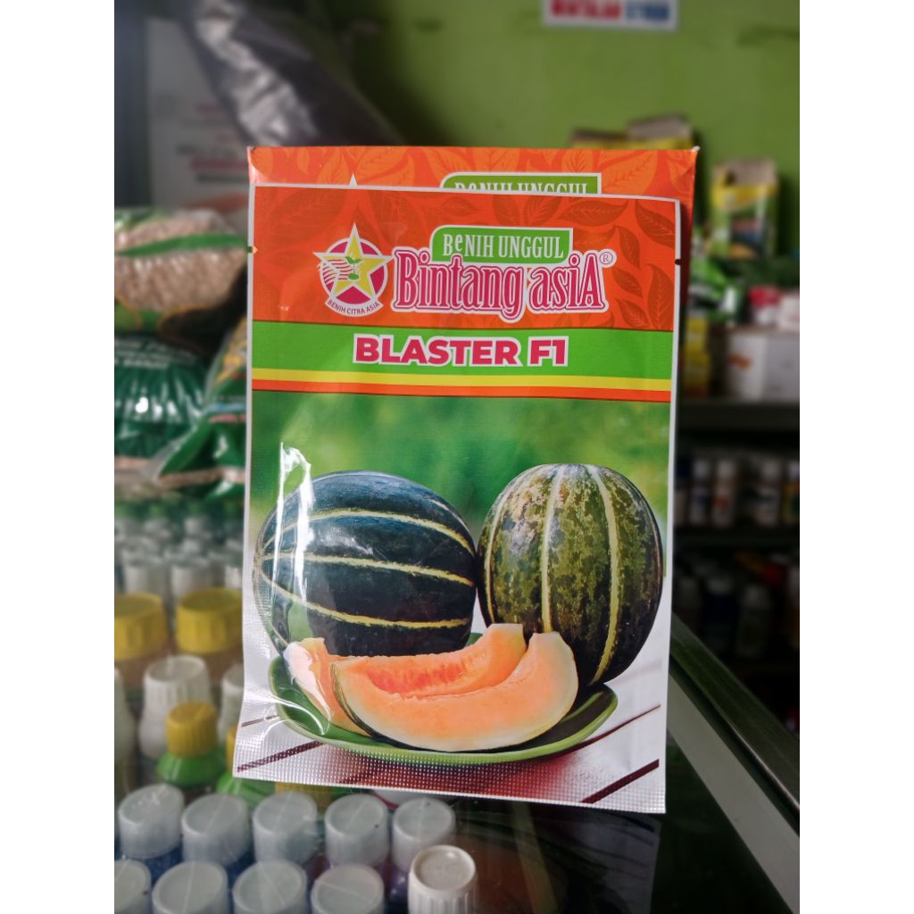 BENIH BLEWAH BLASTER F1 BINTANG ASIA 100% ORIGINAL