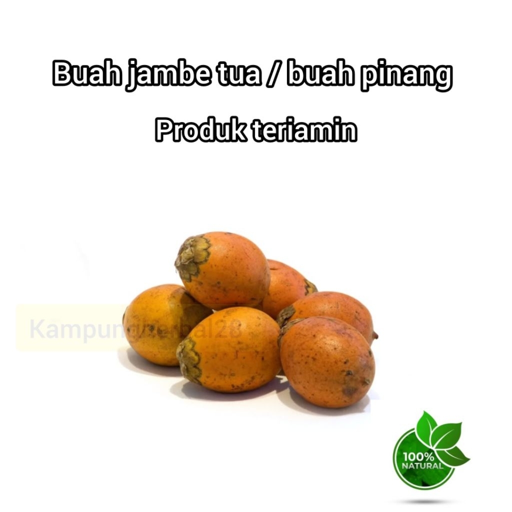 Buah jambe tua / buah pinang tua atau kering - 1 kg