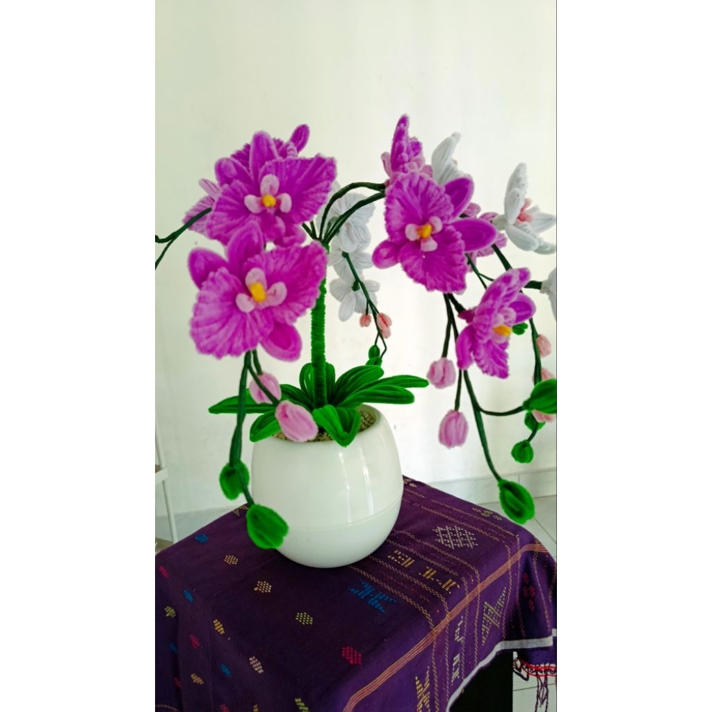 Bunga Anggrek kawat bulu besi