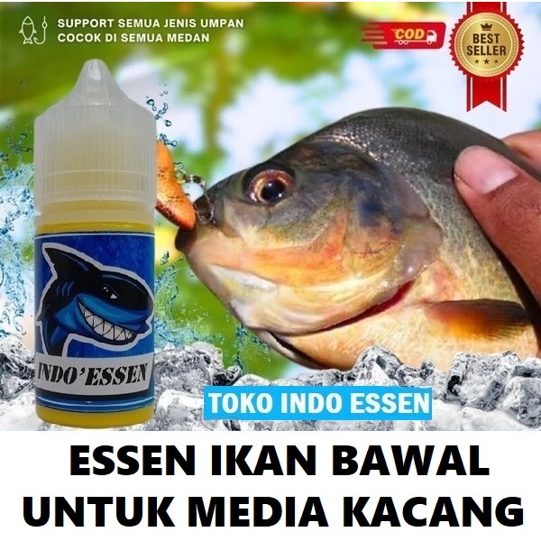 ESSEN IKAN BAWAL MEDIA KACANG PALING JITU | INDO ESSEN ISI 30ML