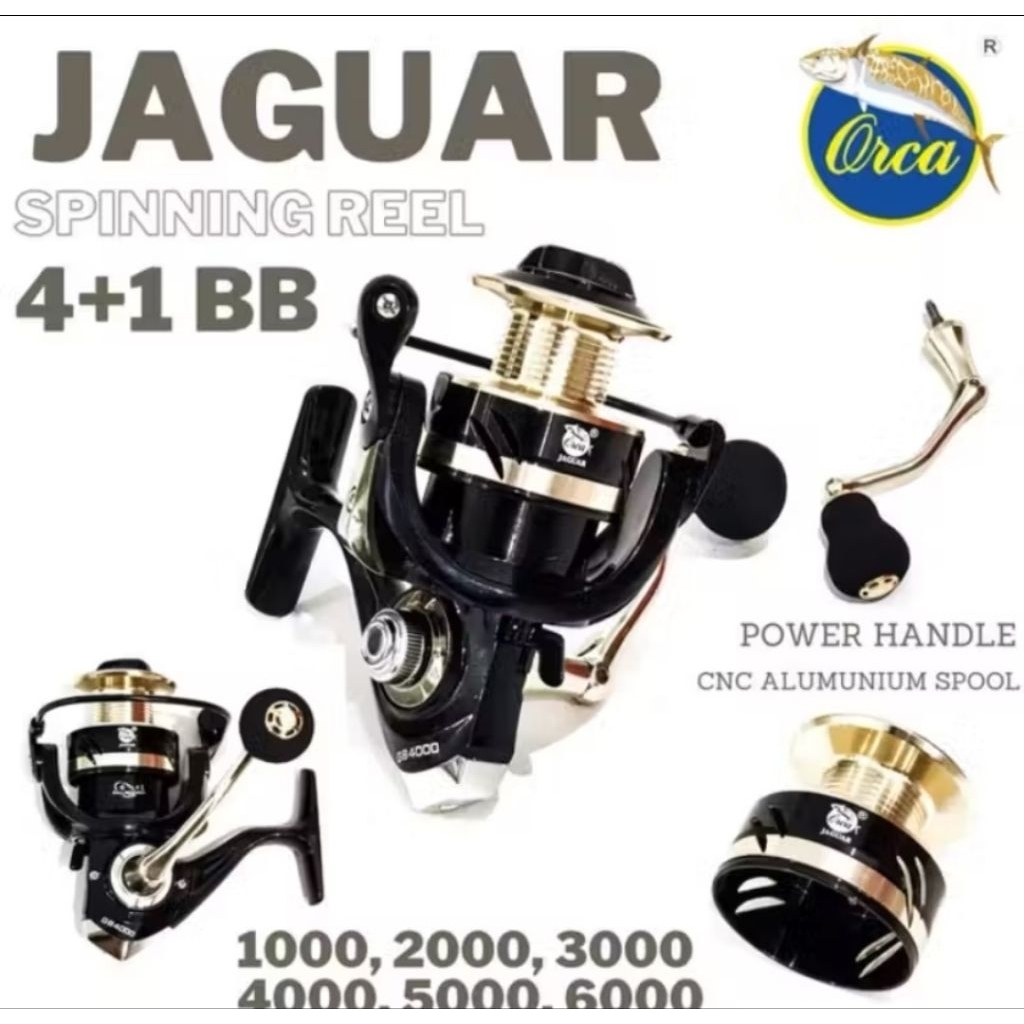 Rel spining orca jaguar