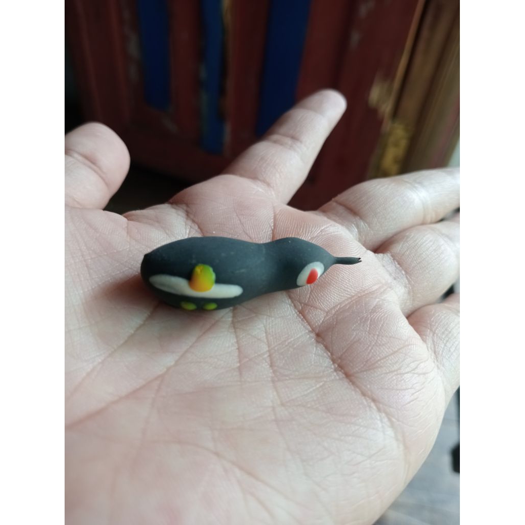 cangkang/kulit soft frog ukuran 3,5 cm