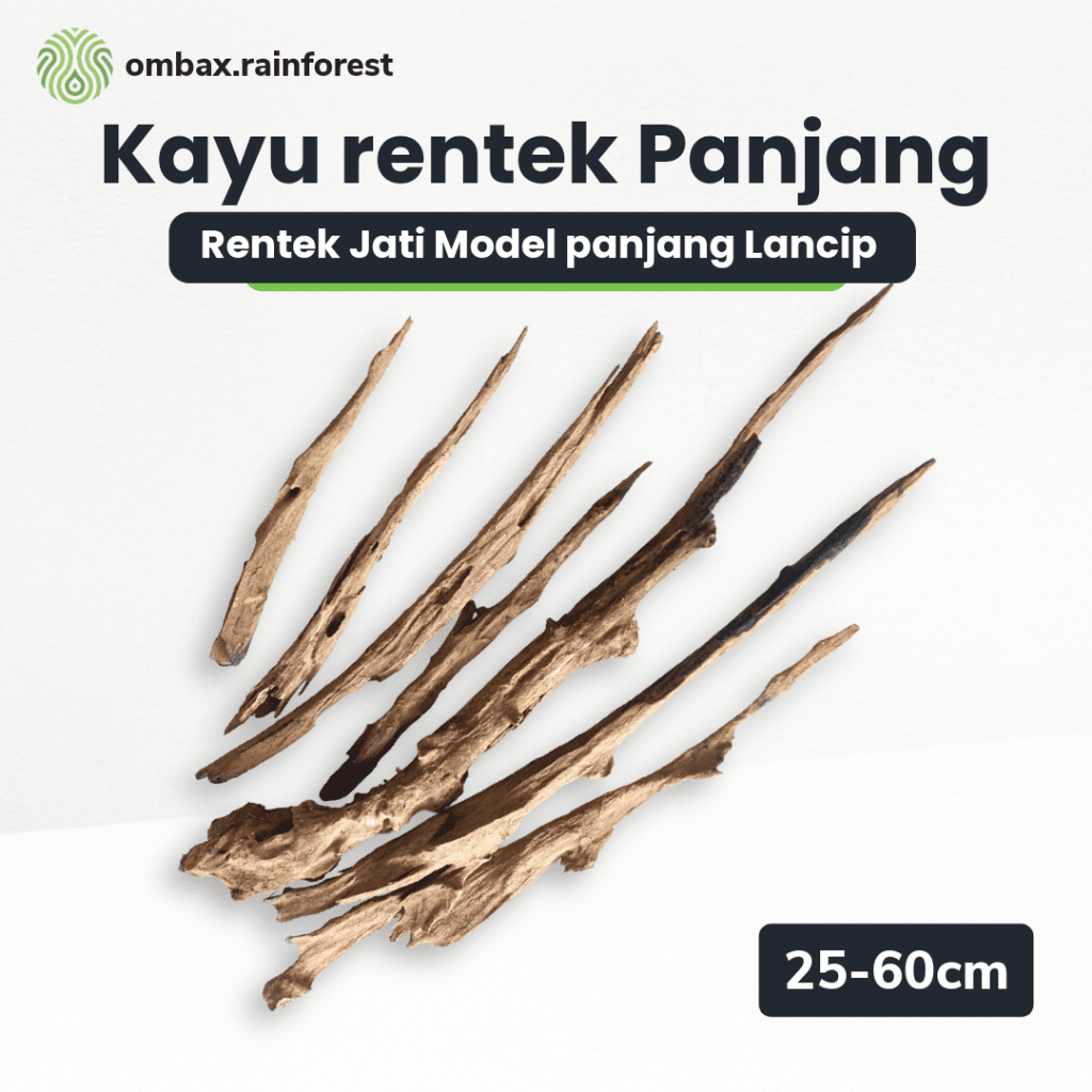 Ombax rainforest - Kayu rentek model Panjang - ranting kayu hardscape aquascape vivarium