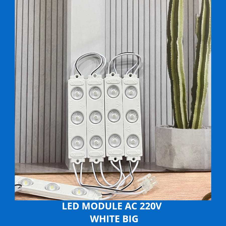 LED MODULE AC BIG 220V White