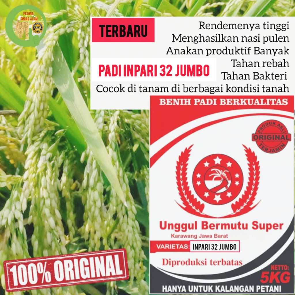 BIBIT PADI INPARI-32 JUMBO SUPER 5KG BARU TAHAN ANGIN KENCANG