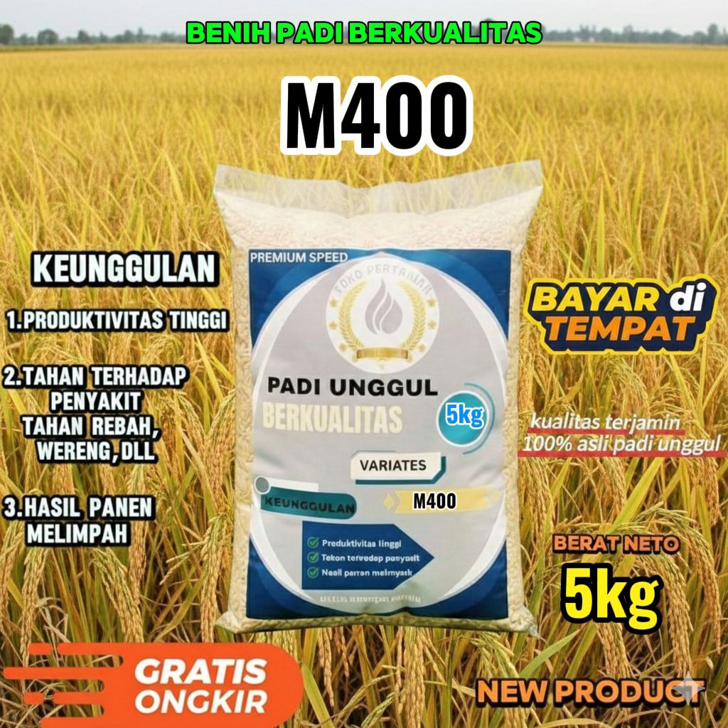benih padi M400 berkualitas kemasan 5kg