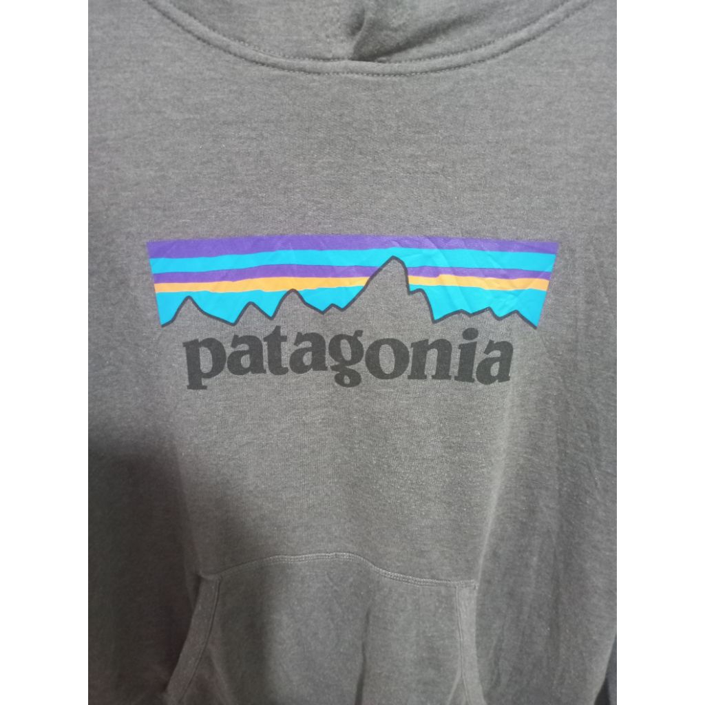 Hoodie Patagonia