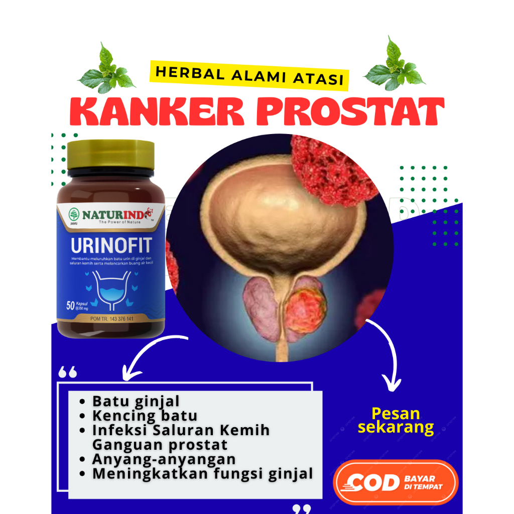 Obat Prostat Herbal Naturindo Ampuh Infeksi Ginjal Urinofit Herbal Prostat Infeksi Saluran Kemih HER