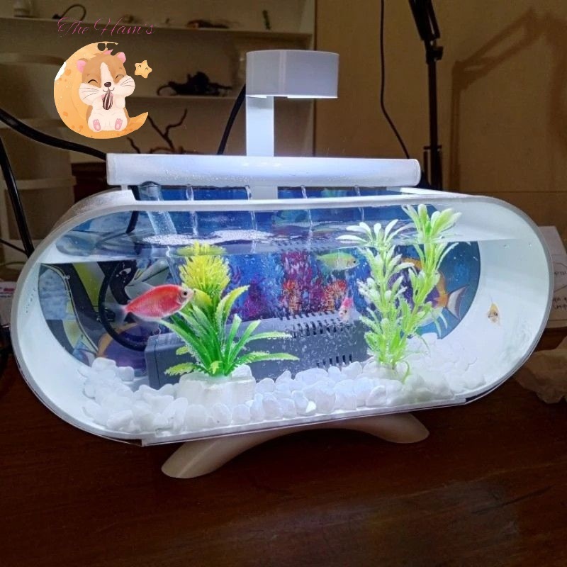 (The Ham's) Aquarium Oval Baru 1 Set lengkap Aquarium mini plus mesin oxygen glembung dan lampu LED 