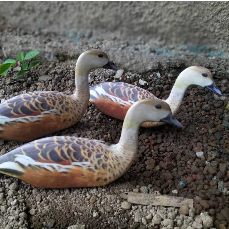 jontrot boneka burung belibis kembang  mirip asli ampuh