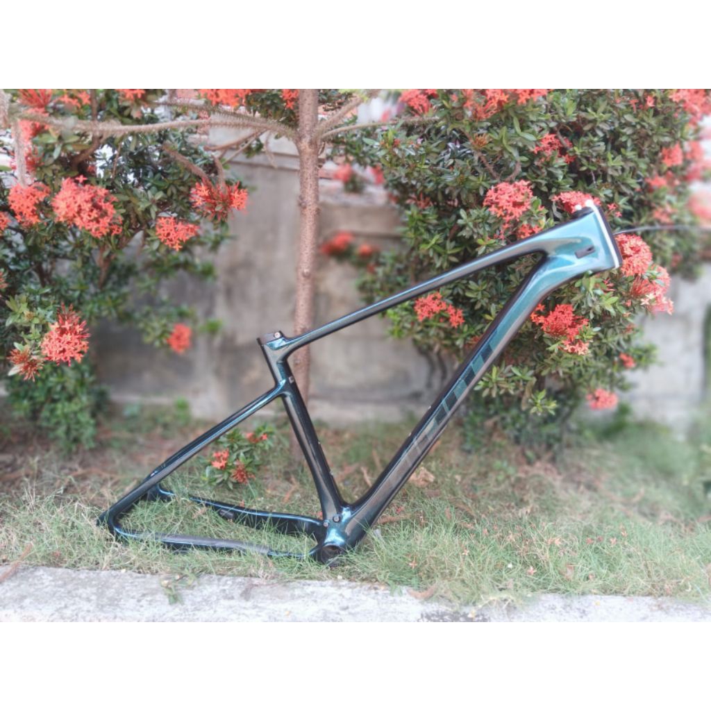 frame set giant xtc advanced sl1 carbon 2022 size M 29er