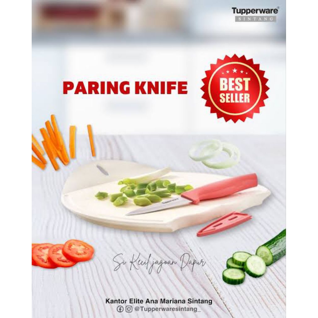 Paring Knife (pisau) Tupperware