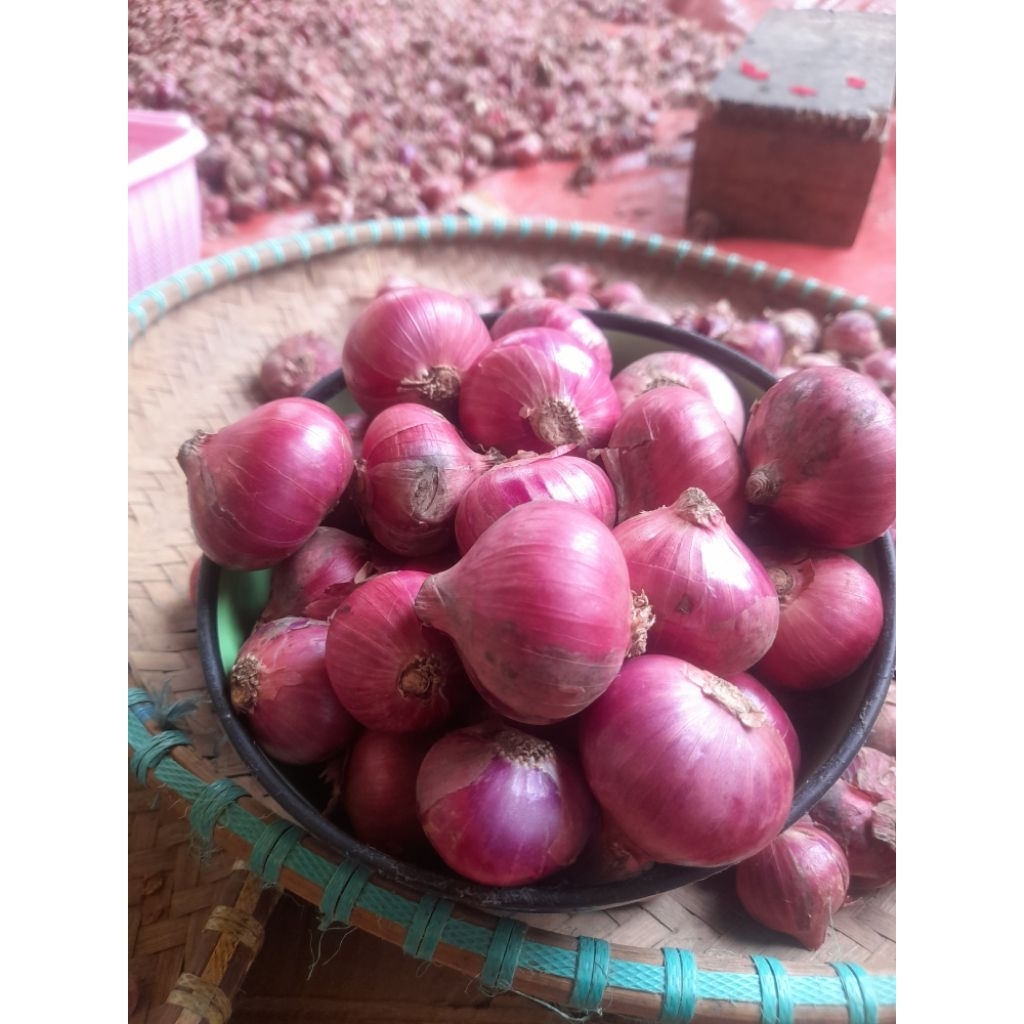 1 kg Bawang Merah Jumbo Lokal Bandung Jawa Barat