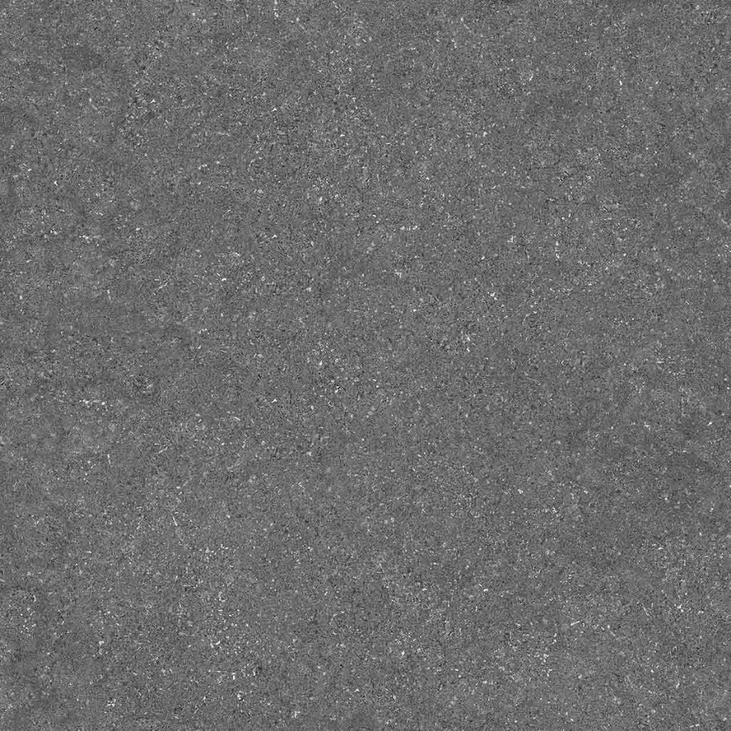 Granite 60x60 Arna Arienta Dark Grey | Matt