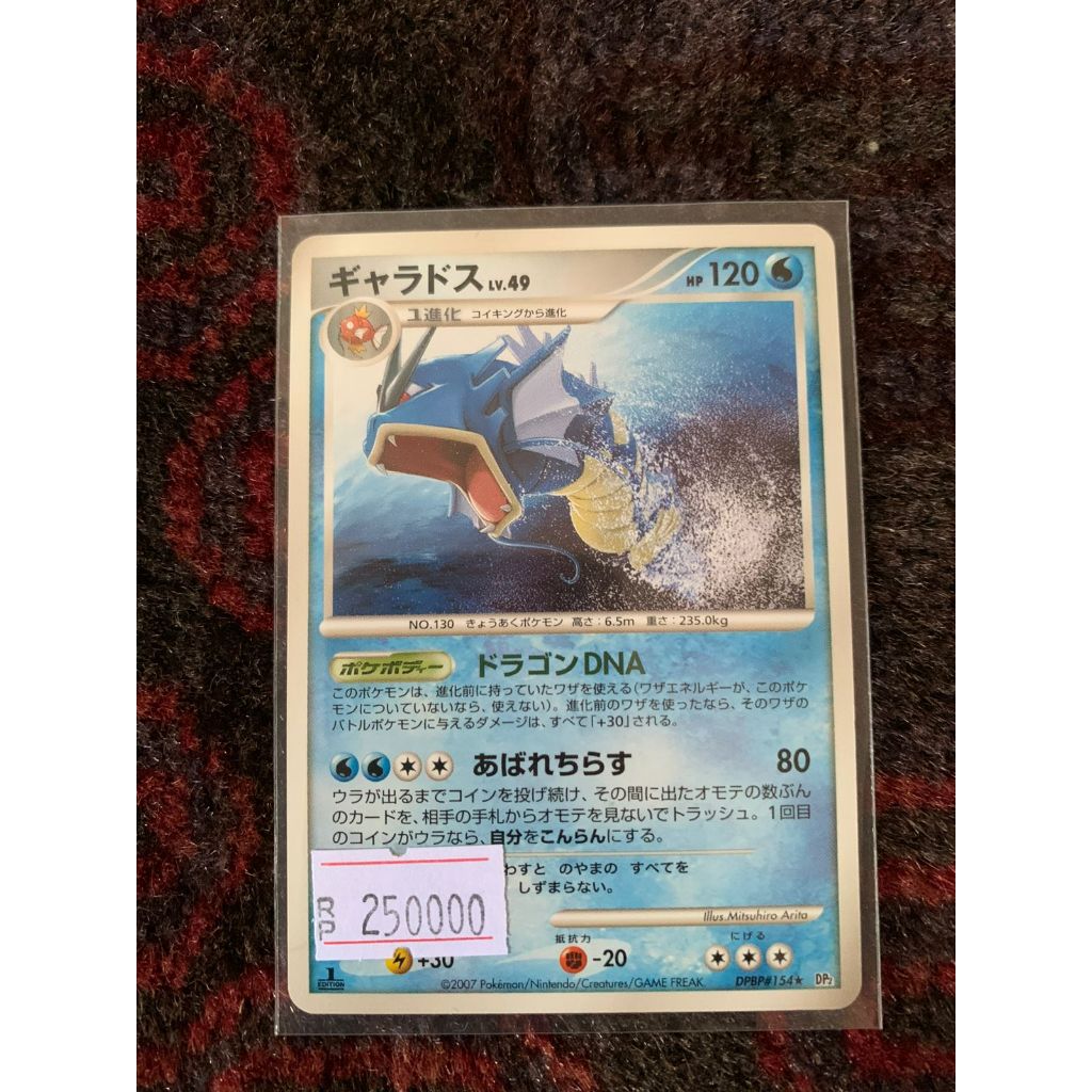 Gyarados Pokemon Japanese