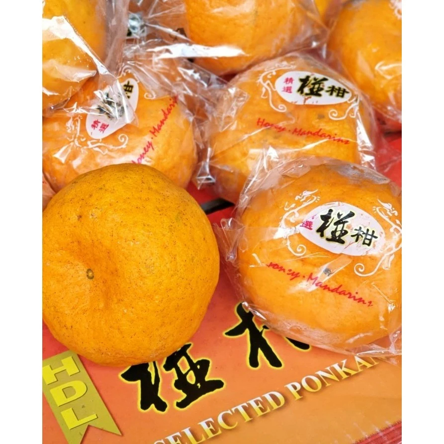 Jeruk Kupas Ponkam Manis HDL Taiwan JUMBO Honey Mandarin Orange 900 gr - 1 kg