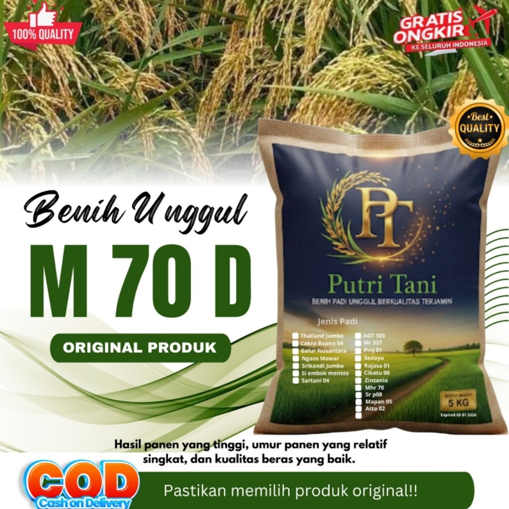 BIBIT PADI M 70 D KEMASAN 5KG