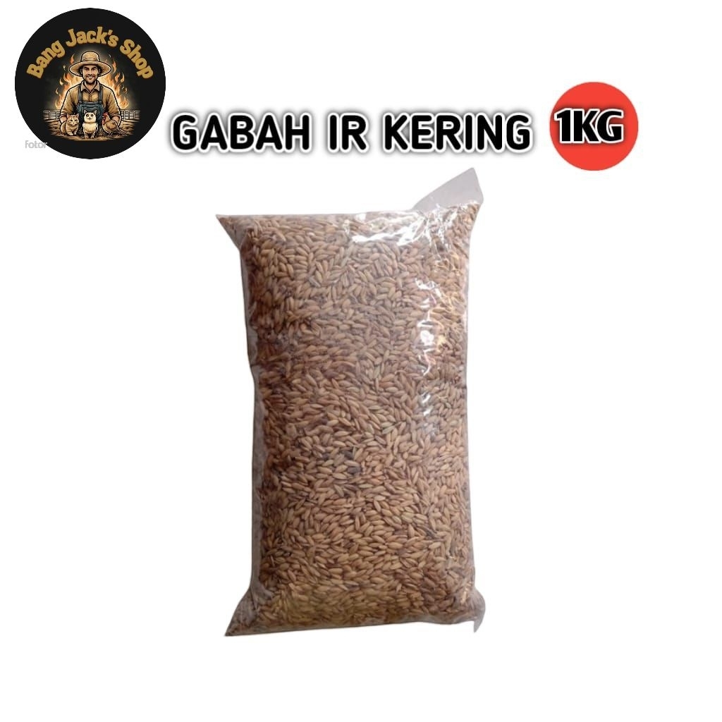Gabah IR KERING BERKUALITAS Pakan Ayam Bangkok - 1kg
