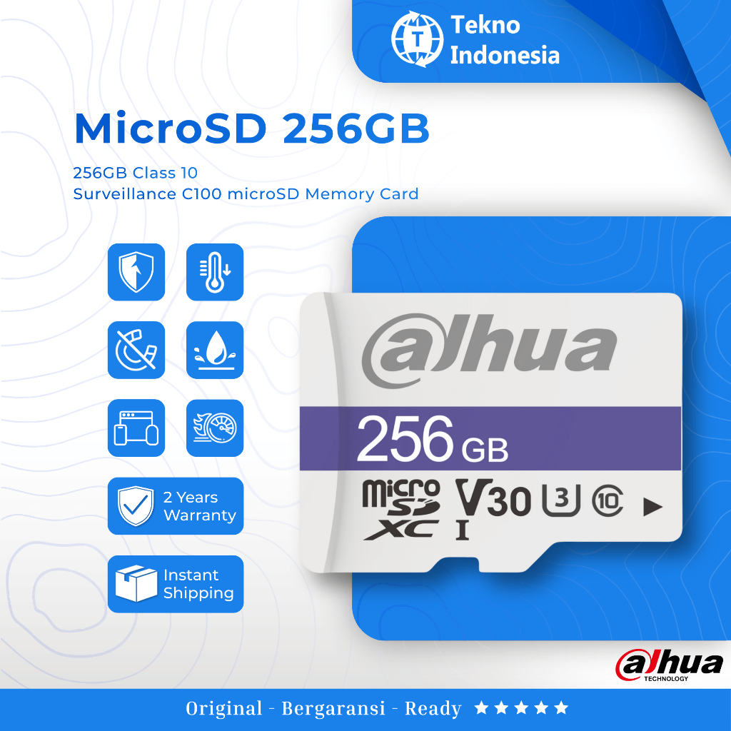 Dahua MicroSD 256GB TF-C100 Mmc 256GB Memory Card CCTV