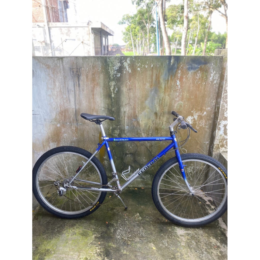 frame & fork federal bob cat pathfinder size 19 repaint