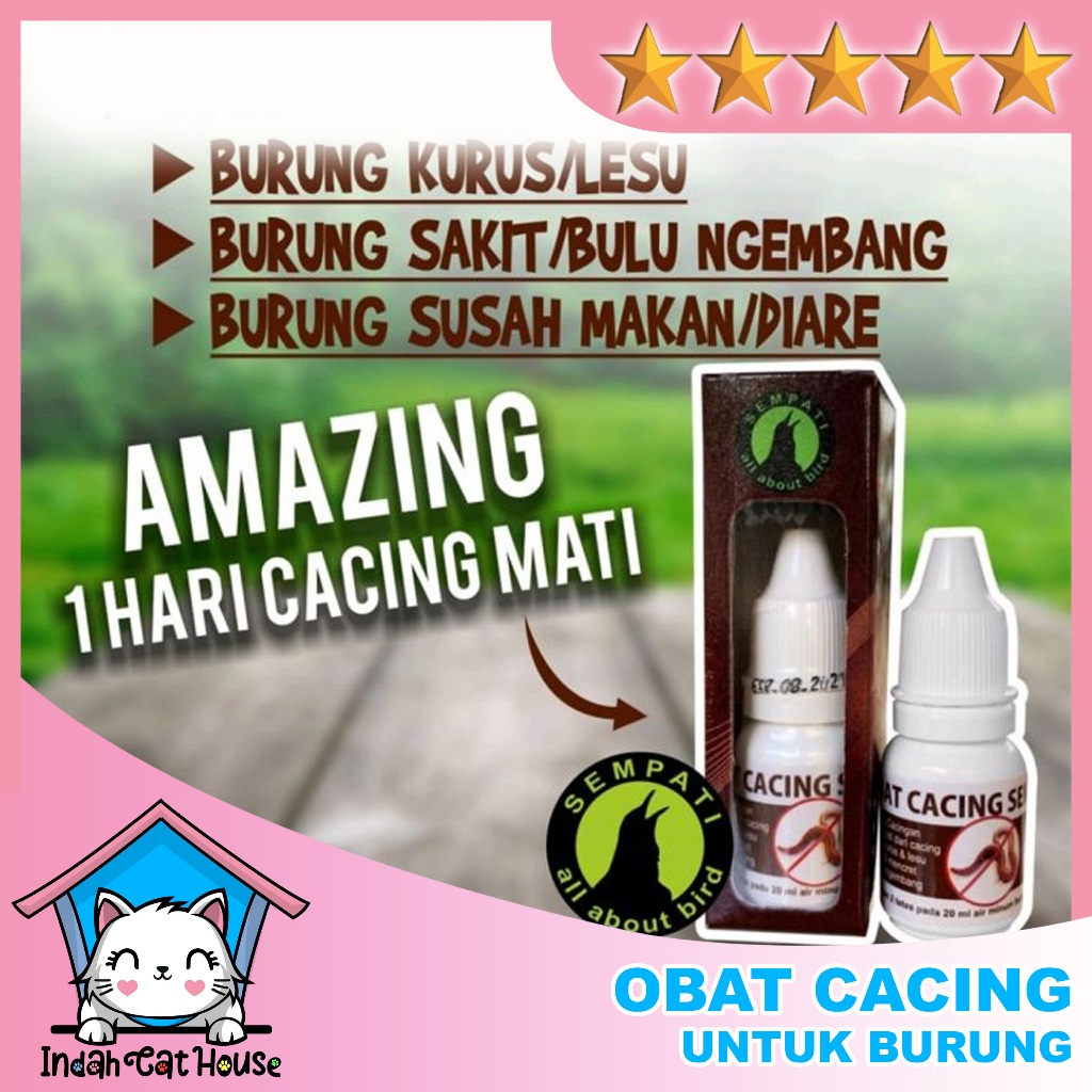 Sempati Obat Cacing Sempati Mengobati Burung Sakit Cacing Kurus Lesu Untuk Murai Kacer Lovebird Anis