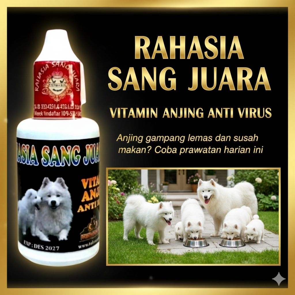 VAKSIN & ANTI VIRUS TERBAIK UNTUK ANJING KESAYANGAN