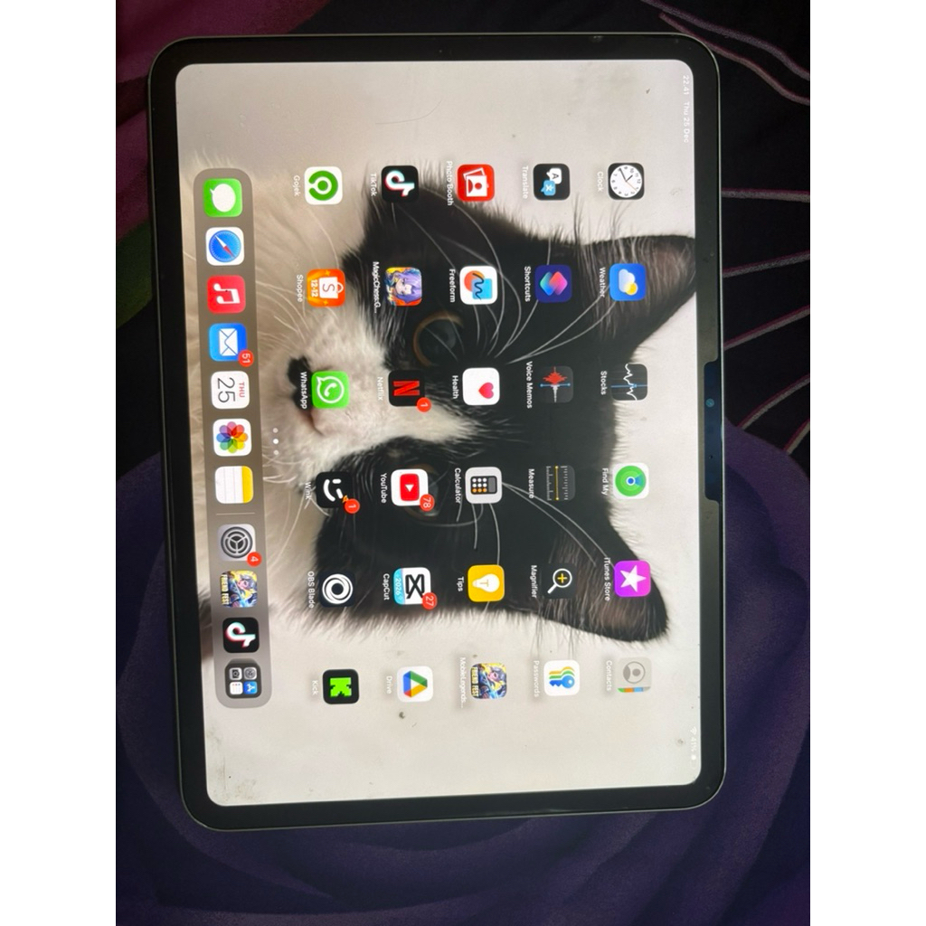 IPAD PRO M4 2025 11 INC WIFI 256GB