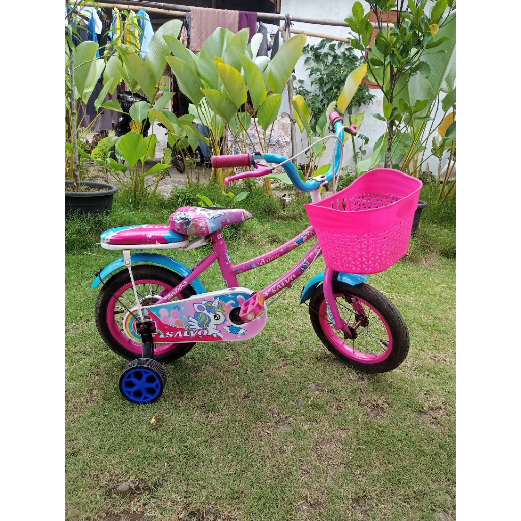 sepeda anak perempuan ukuran 12 inchi bekas / second