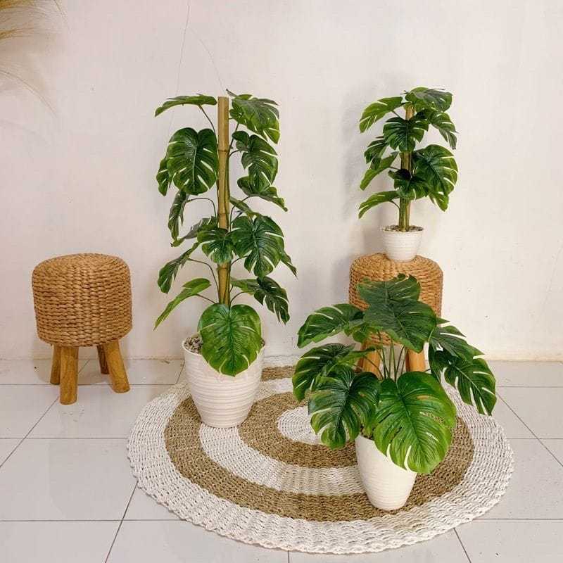 Tanaman Monstera Artificial Hijau Dengan Pot 20 Cm